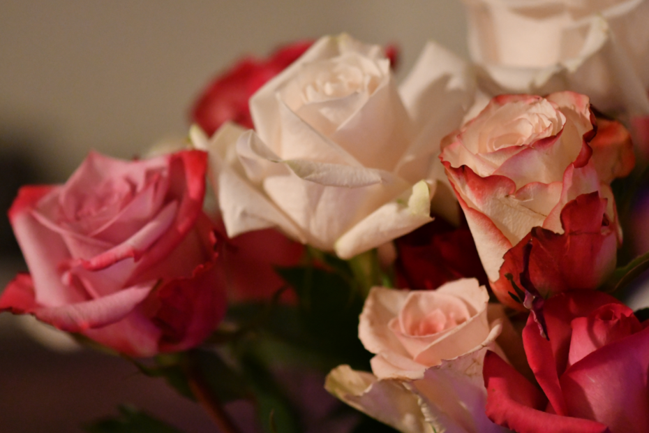 education center blog header