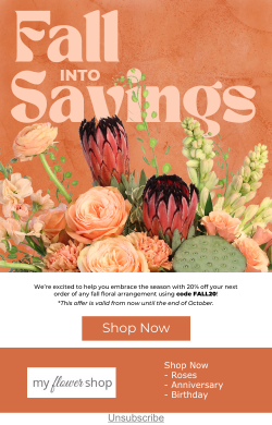 Email Marketing Campaigns 1 An example of a florist email with a clear and compelling CTA to "Shop Now!"